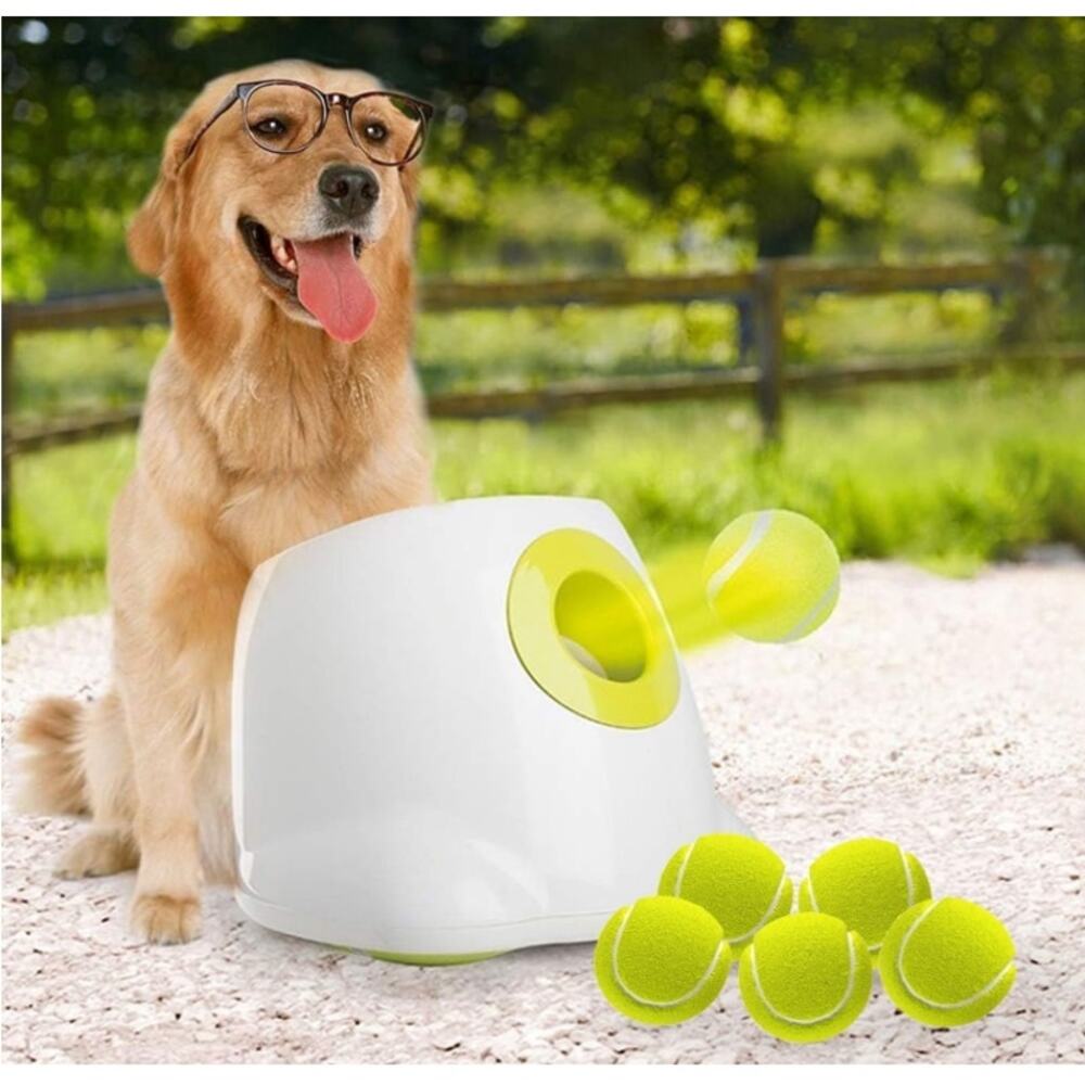 ALL FOR PAWS Automatic Dog Ball Launcher Medium Large Dogs + 4 Balls
